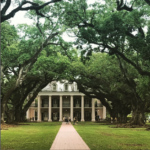 OakAlleyPlantation